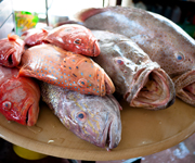 Siong Ho Fish Head