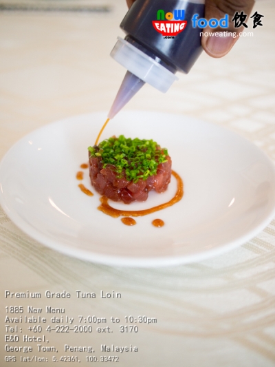 Premium Grade Tuna Loin