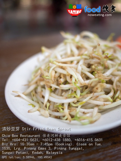 清炒豆芽 Stir Fried Bean Sprout