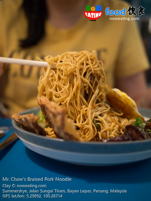 Mr. Chow's Braised Pork Noodle