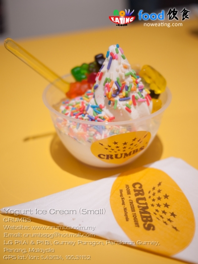 Yogurt Ice Cream (Small)