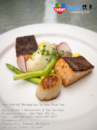 Pan Seared Norwegian Salmon/Scallop