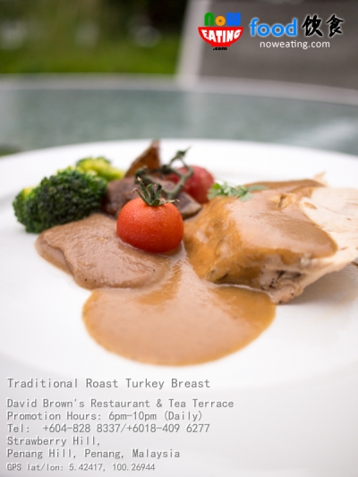 Traditional Roast Turkey Breast