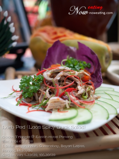 Larb Ped (Laos Spicy Duck Salad)