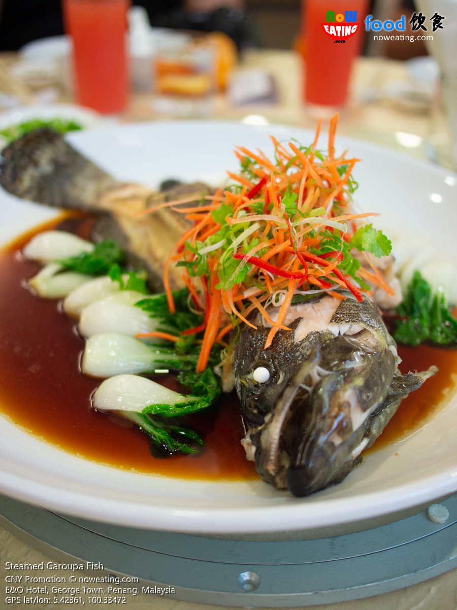 Steamed Garoupa Fish