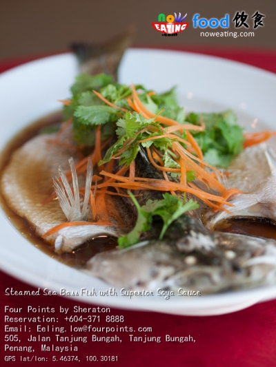 Steamed Sea Bass Fish with Superior Soya Sauce