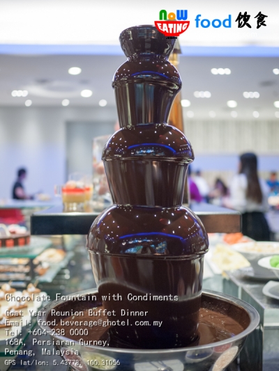 Chocolate Fountain with Condiments
