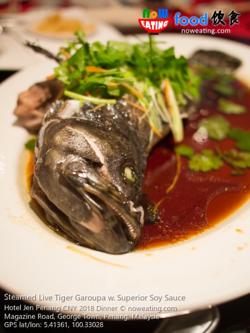 Steamed Live Tiger Garoupa w. Superior Soy Sauce