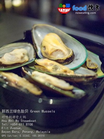 新西兰绿色胎贝 Green Mussels