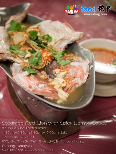 Steamed Red Lion with Spicy Lemon Sauce