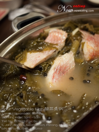 Sour Vegetable Fish 酸菜鱼锅