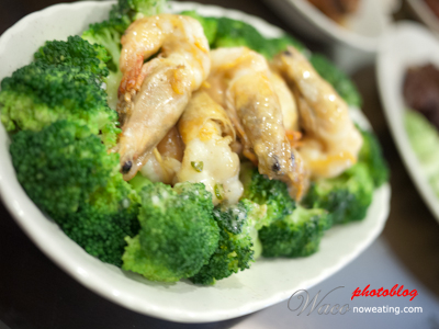 Mayonnaise Prawns with Broccoli 虾炒西兰花