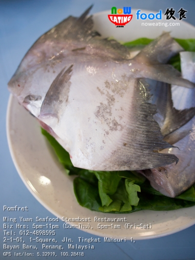 Pomfret