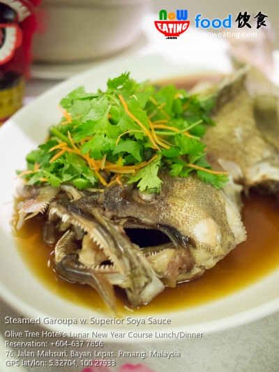 Steamed Garoupa w. Superior Soya Sauce