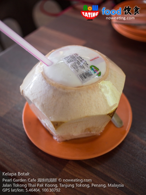 Kelapa Botak