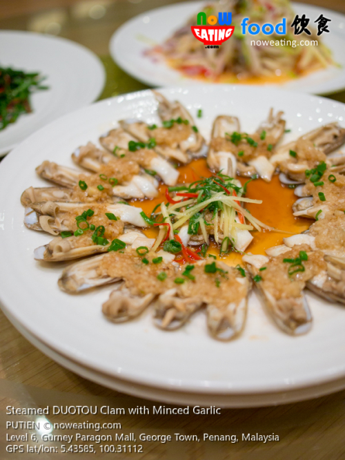 Steamed DUOTOU Clam with Minced Garlic