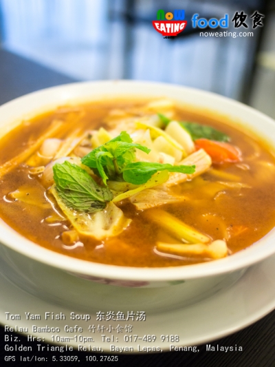 Tom Yam Fish Soup 东炎鱼片汤