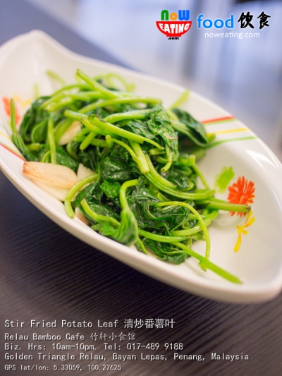 Stir Fried Potato Leaf 清炒番薯叶