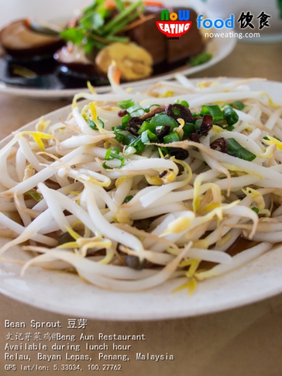 Bean Sprout 豆芽