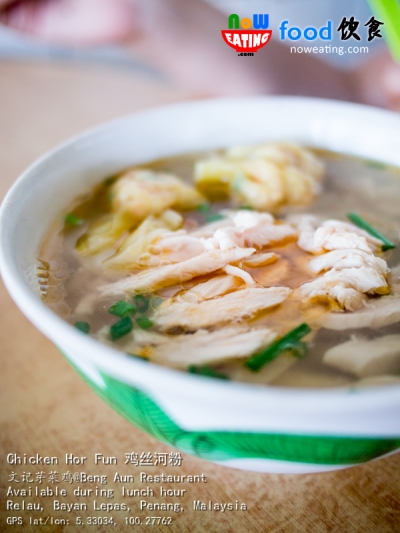 Chicken Hor Fun 鸡丝河粉