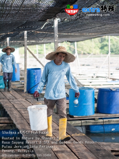Workers at GST Fish Farm