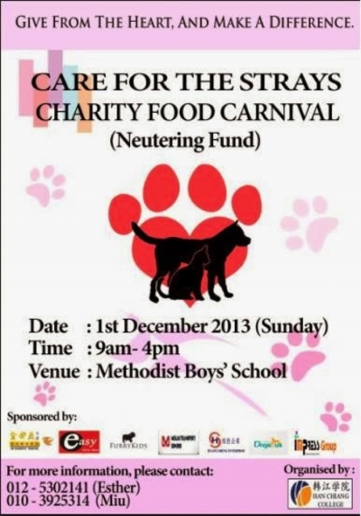 Care for the Strays Charity Food Carnival
