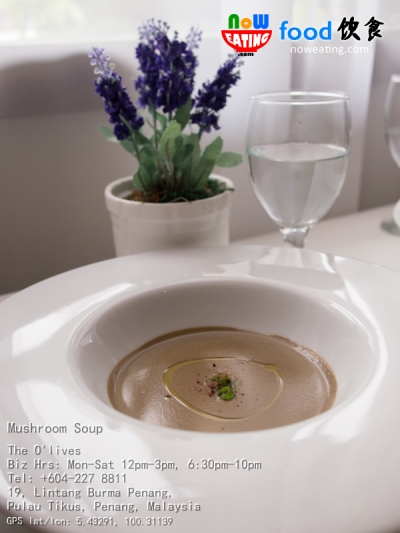 Mushroom Soup