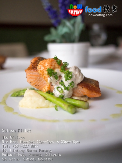 Salmon Fillet