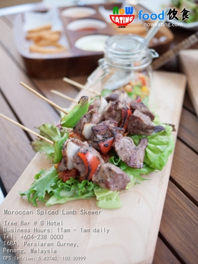 Moroccan Spiced Lamb Skewer