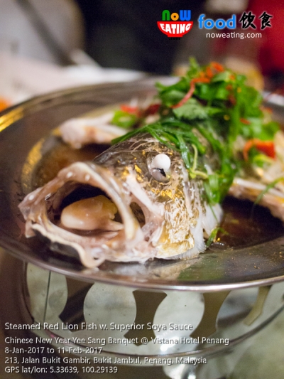 Steamed Red Lion Fish w. Superior Soya Sauce