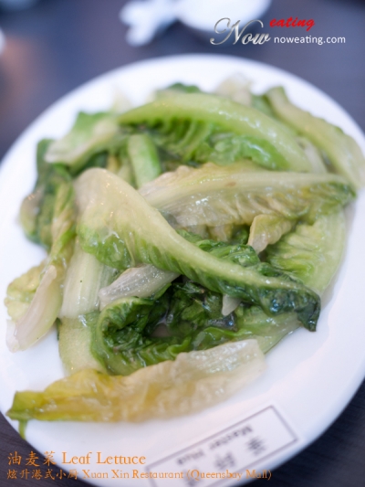 油麦菜 Leaf Lettuce